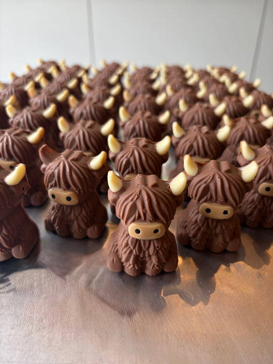 Highland Cow
